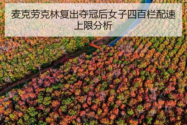 麦克劳克林复出夺冠后女子四百栏配速上限分析