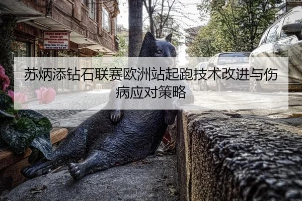 su-bing-tian-zuan-shi-lian-sai-ou-zhou-zhan-qi-pao-ji-shu-gai-jin-yu-shang-bing-ying-dui-ce-lve-3-391.jpg